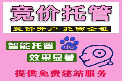 竞价广告赚钱：百度平台案例分析